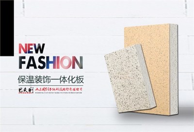 合肥节能科技协会与勘察设计协会来公司考察参观